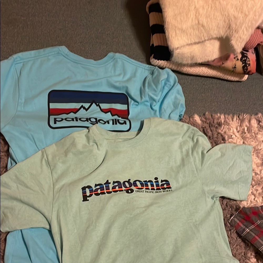 TWO Patagonia Blue Short Sleeve Tees with Iconic Branding